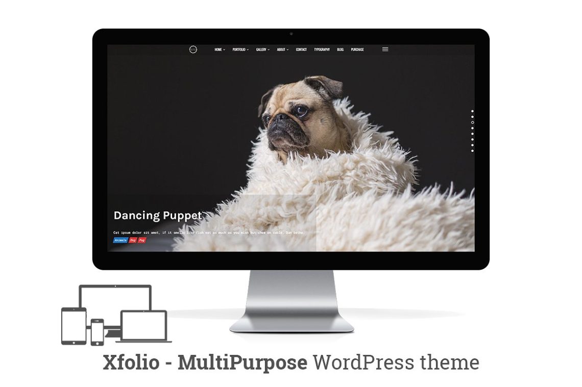 Xfolio – MultiPurpose Builder WP Theme