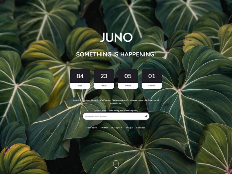 CMP – Juno Theme